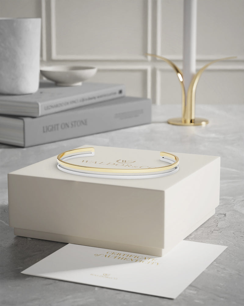 A bangle in 14k gold-plated 316L stainless steel from Waldor & Co. One size. The model is Dual Bangle Polished.