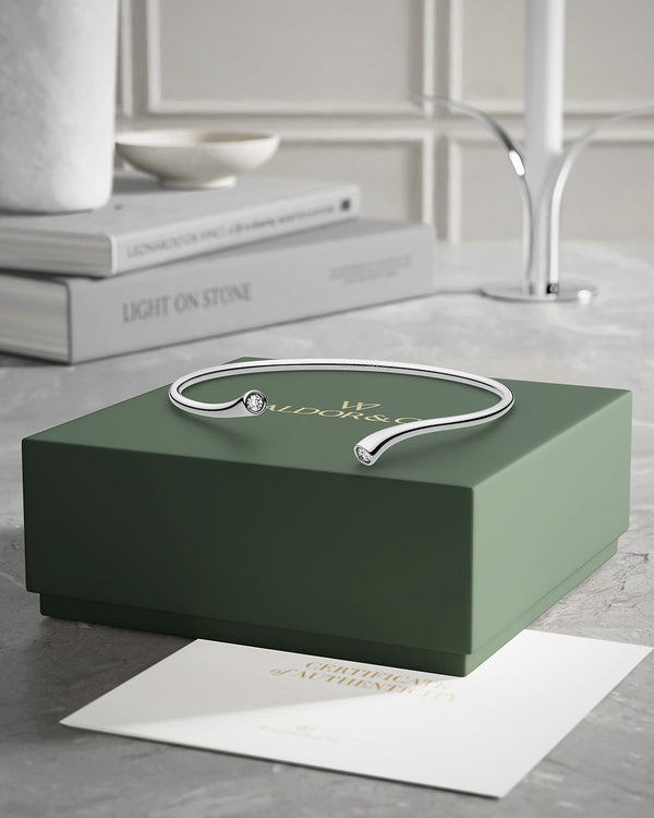 A polished stainless steel bangle from Waldor & Co. One size. The model is Delight Bangle.